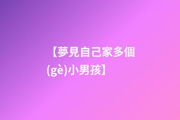 【夢見自己家多個(gè)小男孩】