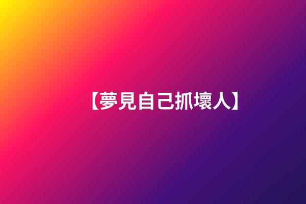 【夢見自己抓壞人】