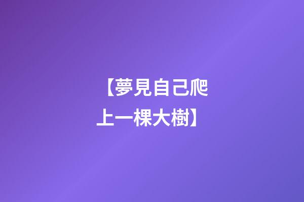 【夢見自己爬上一棵大樹】