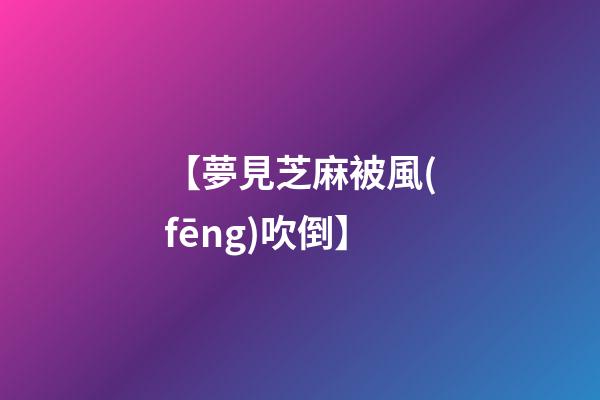 【夢見芝麻被風(fēng)吹倒】