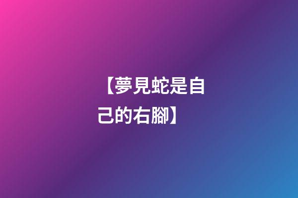 【夢見蛇是自己的右腳】