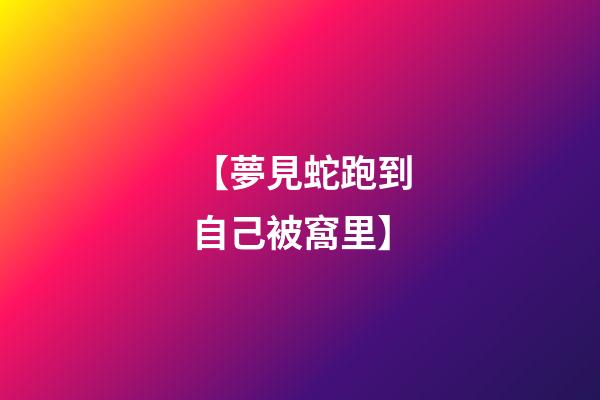 【夢見蛇跑到自己被窩里】
