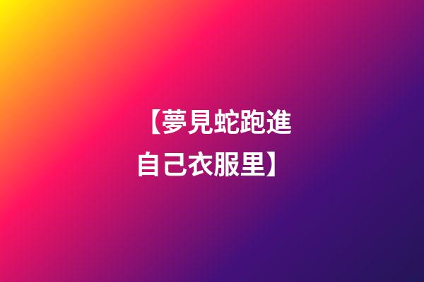 【夢見蛇跑進自己衣服里】