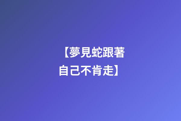 【夢見蛇跟著自己不肯走】