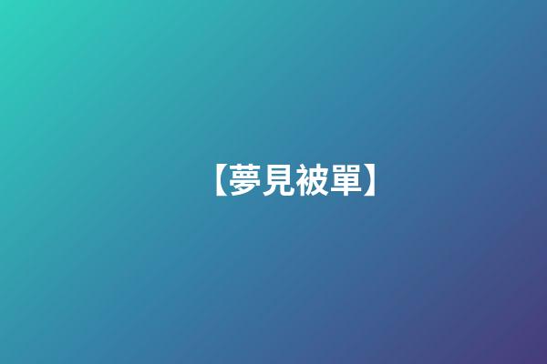 【夢見被單】