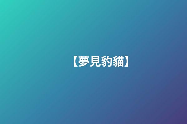 【夢見豹貓】