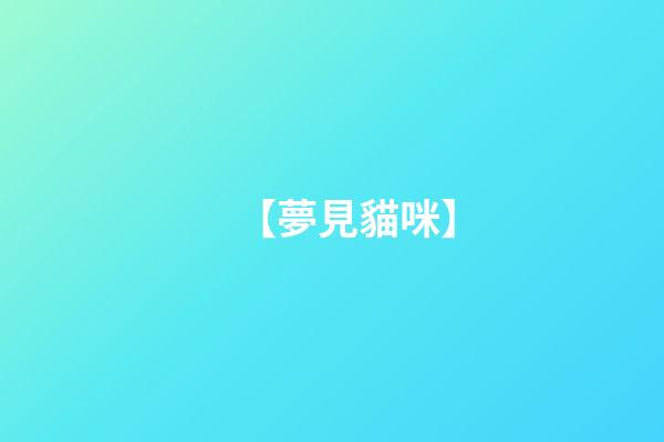 【夢見貓咪】