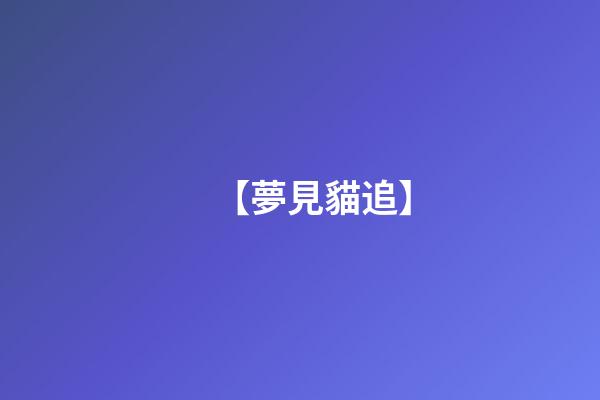 【夢見貓追】