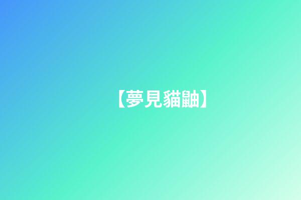 【夢見貓鼬】
