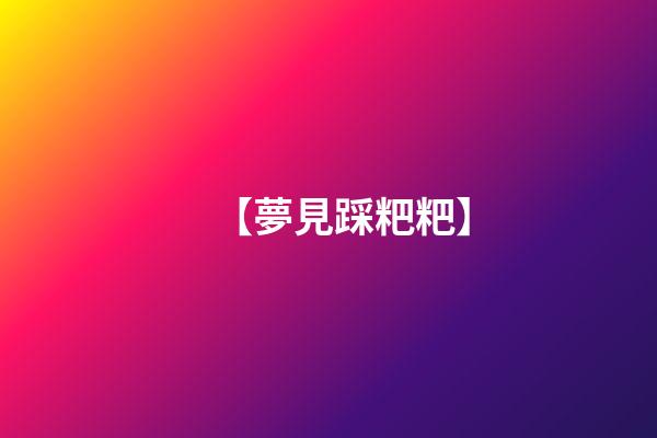 【夢見踩粑粑】