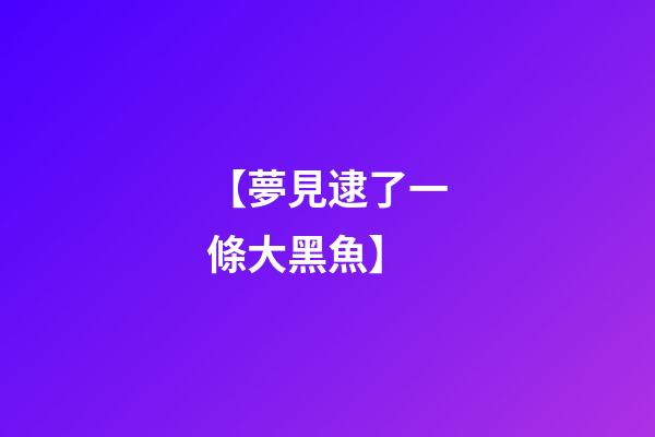 【夢見逮了一條大黑魚】