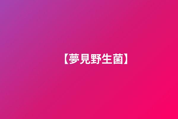 【夢見野生菌】