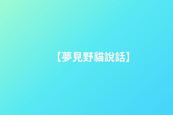 【夢見野貓說話】