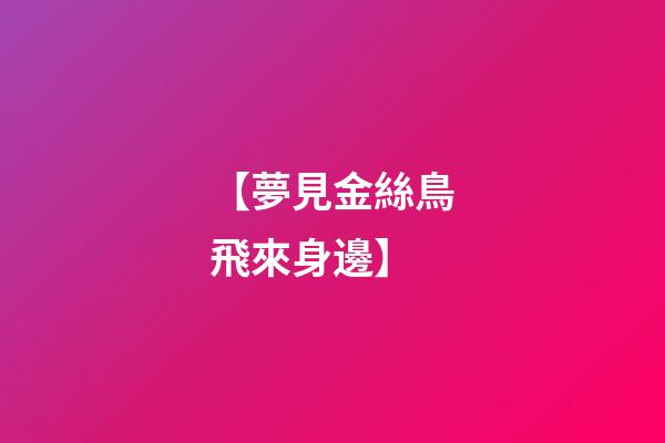 【夢見金絲鳥飛來身邊】