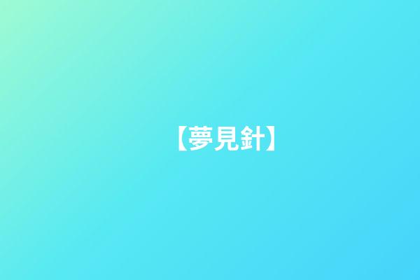 【夢見針】