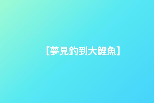 【夢見釣到大鯉魚】