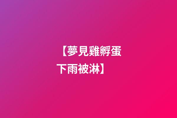 【夢見雞孵蛋下雨被淋】