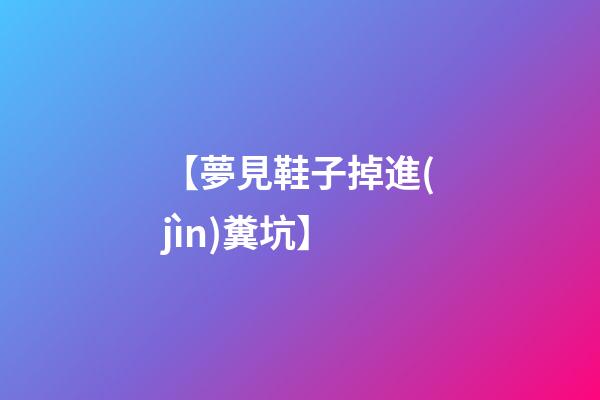 【夢見鞋子掉進(jìn)糞坑】