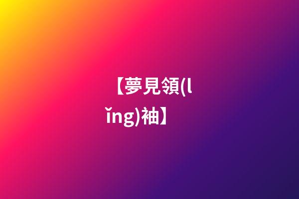 【夢見領(lǐng)袖】
