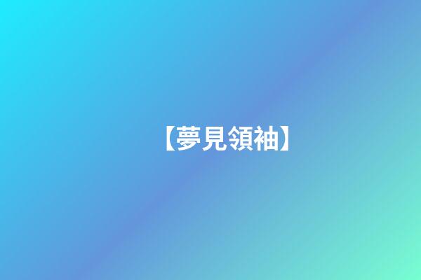 【夢見領袖】