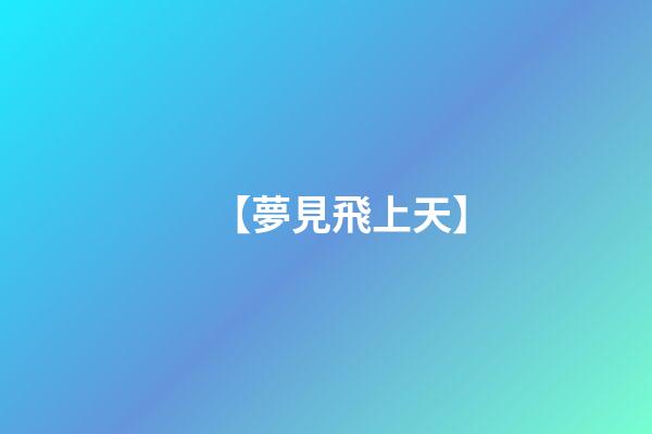 【夢見飛上天】