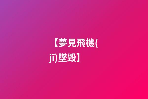 【夢見飛機(jī)墜毀】
