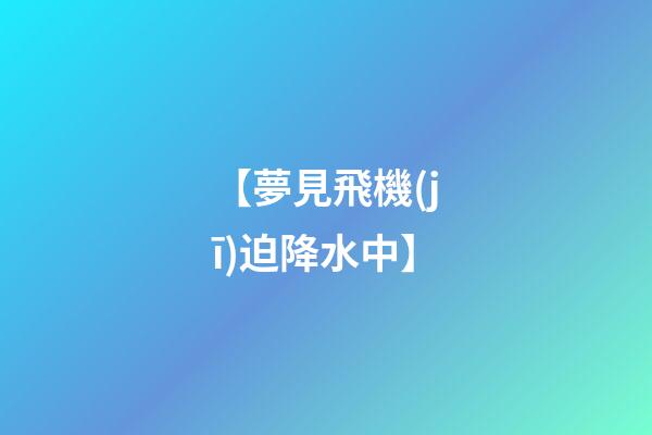 【夢見飛機(jī)迫降水中】