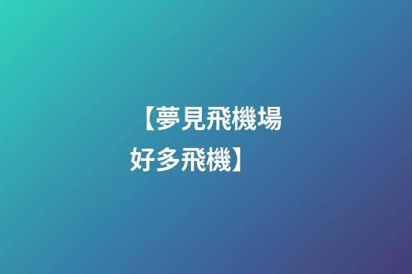 【夢見飛機場好多飛機】