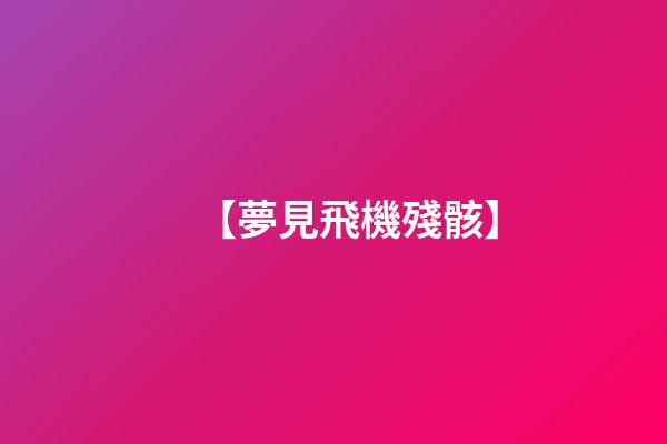 【夢見飛機殘骸】