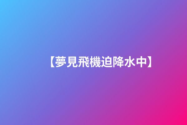 【夢見飛機迫降水中】