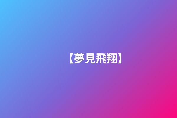 【夢見飛翔】
