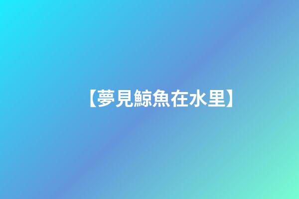 【夢見鯨魚在水里】