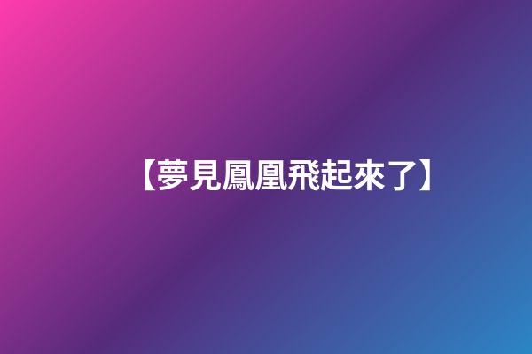 【夢見鳳凰飛起來了】