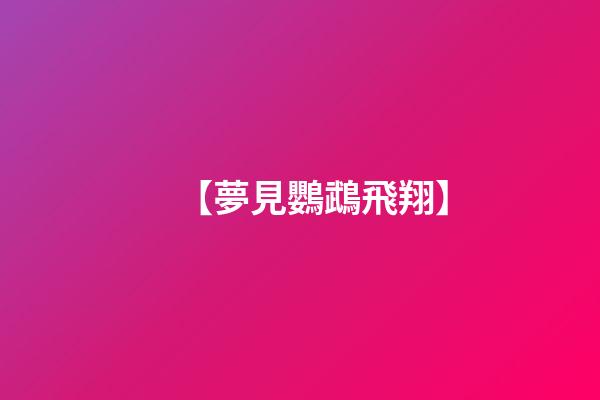 【夢見鸚鵡飛翔】
