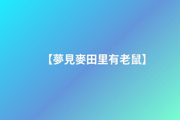 【夢見麥田里有老鼠】