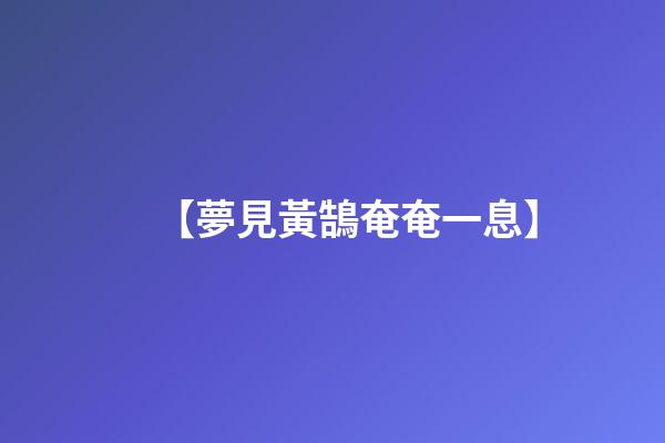【夢見黃鵠奄奄一息】
