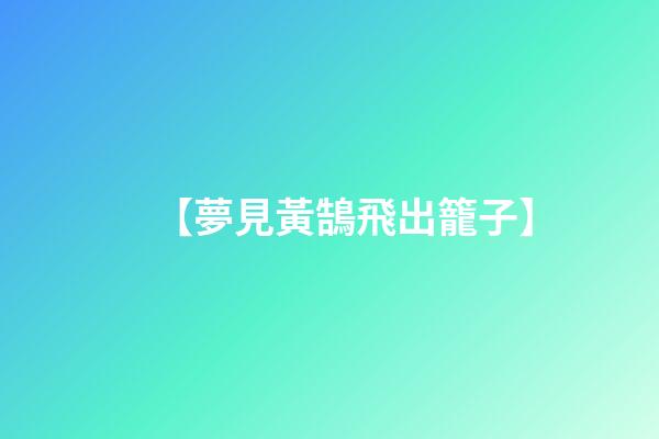 【夢見黃鵠飛出籠子】
