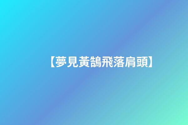【夢見黃鵠飛落肩頭】