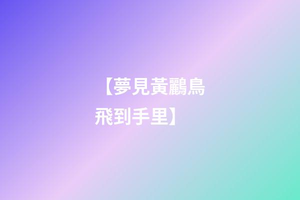 【夢見黃鸝鳥飛到手里】