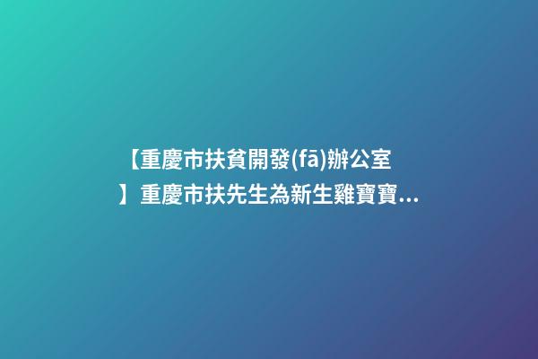 【重慶市扶貧開發(fā)辦公室】重慶市扶先生為新生雞寶寶取名財富型套餐-第1張-公司起名-玄機派