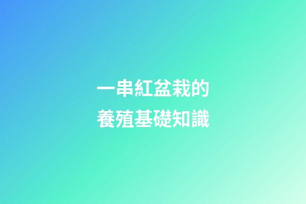 一串紅盆栽的養殖基礎知識