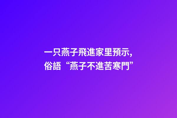 一只燕子飛進家里預示,俗語“燕子不進苦寒門”-第1張-觀點-玄機派