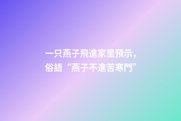 一只燕子飛進家里預示，俗語“燕子不進苦寒門”-第1張-觀點-玄機派