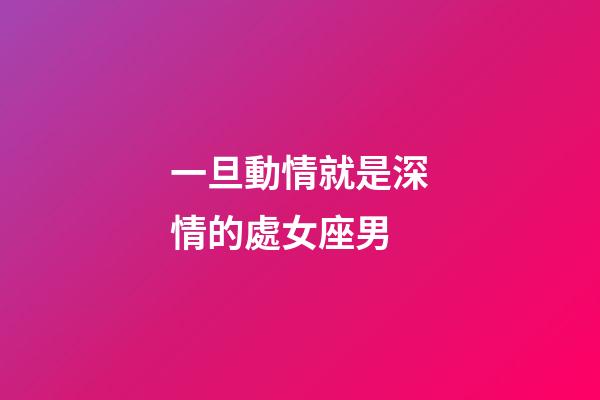 一旦動情就是深情的處女座男-第1張-星座運勢-玄機派