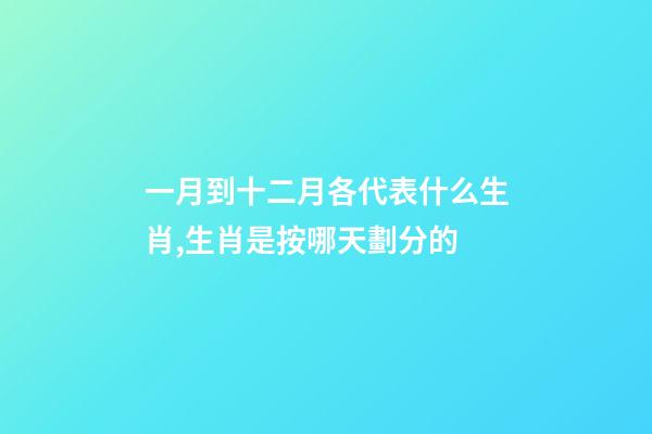 一月到十二月各代表什么生肖,生肖是按哪天劃分的-第1張-觀點-玄機派