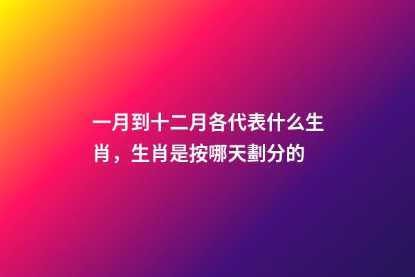 一月到十二月各代表什么生肖，生肖是按哪天劃分的-第1張-觀點-玄機派