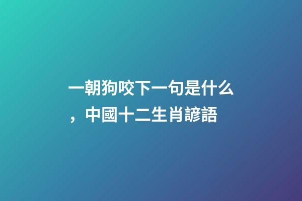 一朝狗咬下一句是什么，中國十二生肖諺語-第1張-觀點-玄機派