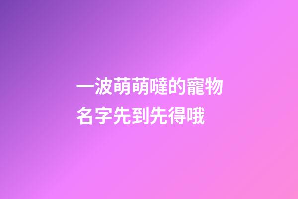 一波萌萌噠的寵物名字先到先得哦