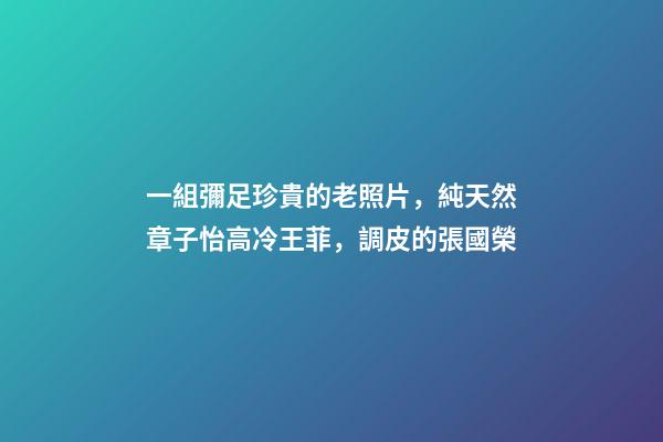 一組彌足珍貴的老照片，純天然章子怡高冷王菲，調皮的張國榮-第1張-觀點-玄機派