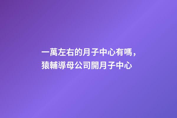 一萬左右的月子中心有嗎，猿輔導母公司開月子中心-第1張-觀點-玄機派